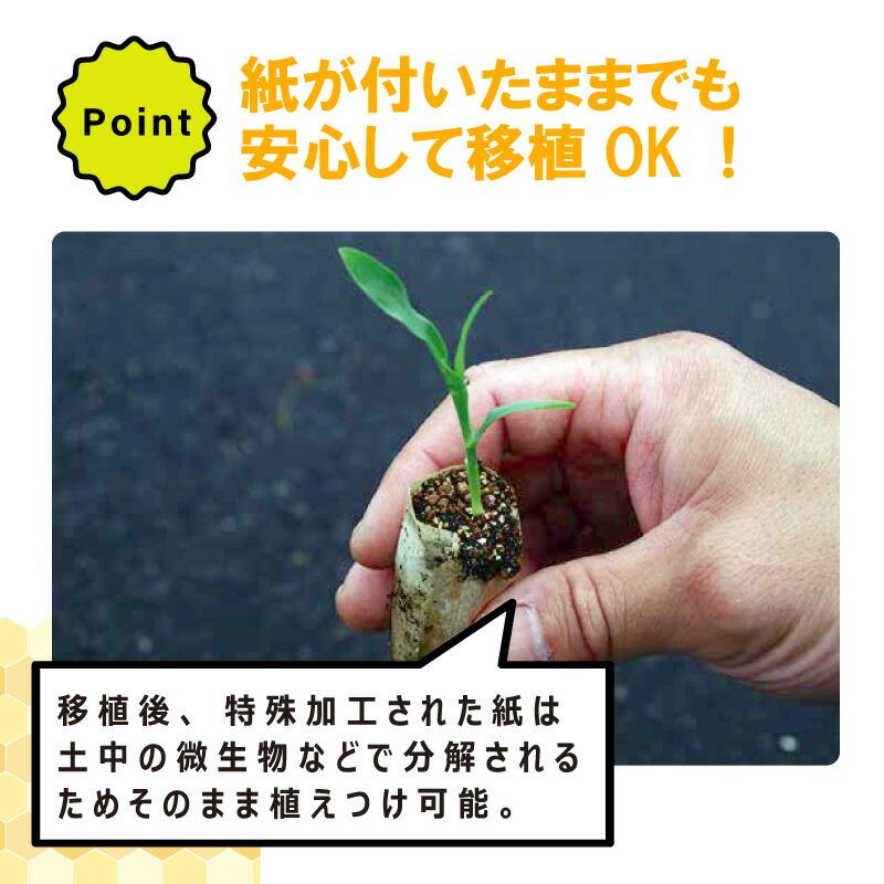 ペーパーポット SM2300 (5H) 180冊 (個) 300鉢 生分解性 紙筒 播種 種まき 育苗 苗 レタス スイートコーン 花き類 ニッテン タS 個人宅配送不可 代引不可 |  | 06