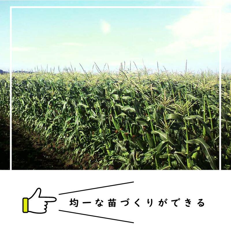 ペーパーポット SM2300 (7.5H) 120冊 (個) 300鉢 生分解性 紙筒 播種 種まき 育苗 苗 アスパラガス スイートコーン ニッテン タS DZ |  | 01