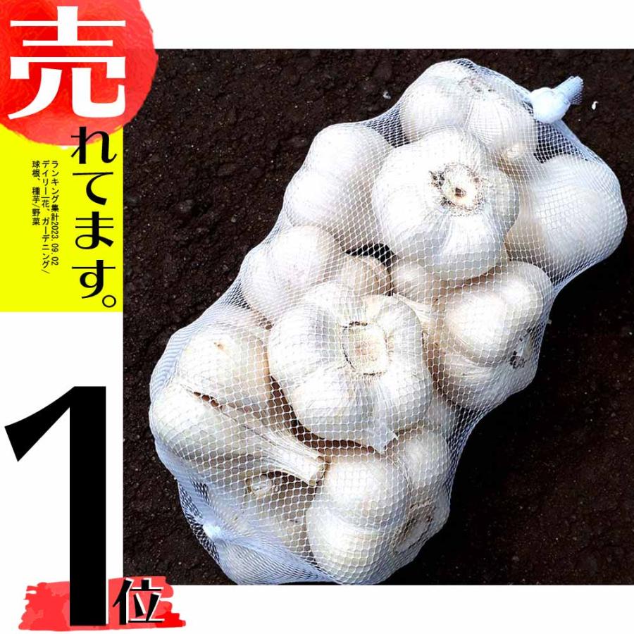 5kg 栽培用 ニンニク 青森県産 ホワイト六片 Lサイズ にんにく 球根 種用 吉S DZ | 