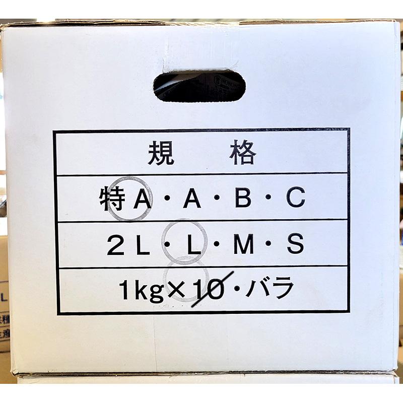 ＼大特価／ 5kg 栽培用 ニンニク 青森県産 ホワイト六片 Lサイズ にんにく 球根 種用 吉S DZ |  | 03