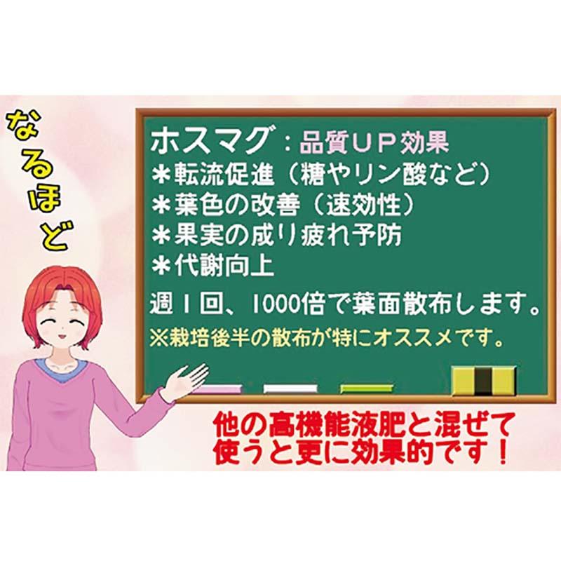12本 ホスマグ 1L 亜リン酸液肥 液体肥料 サカタのタネ サカタマモルシリーズ 代引不可 |  | 02