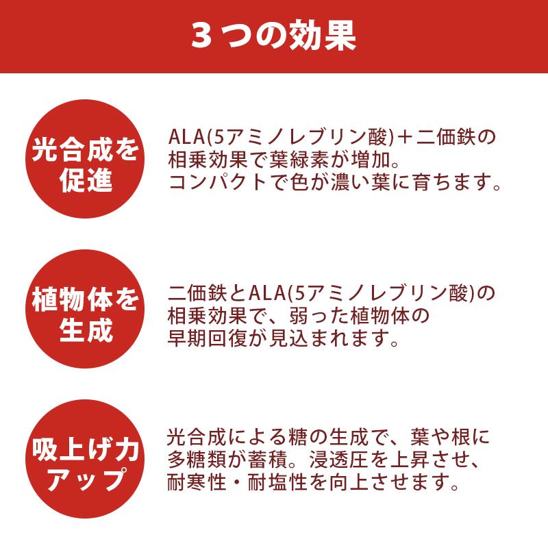 アラフェスタ 1kg ALA-FeSTA 万能型液肥 液体肥料 サカタのタネ サカタマモルシリーズ DZ |  | 04