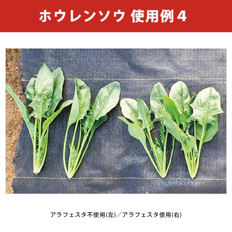 アラフェスタ 1kg ALA-FeSTA 万能型液肥 液体肥料 サカタのタネ サカタマモルシリーズ DZ |  | 08