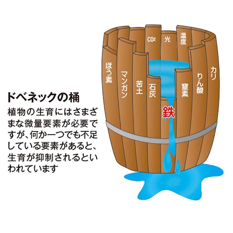 鉄力あくあ F14 10L サカタマモルシリーズ ミネラル補給 液体肥料 液肥 植物 野菜 育成 家庭菜園 ガーデニング 園芸用品 農業資材 サカタのタネ DZ |  | 03