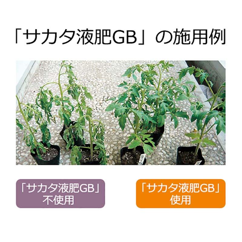 サカタ液肥GB 10kg 高機能液肥 液体肥料 サカタのタネ サカタマモルシリーズ 水稲の暑さ対策に 代引不可 |  | 03