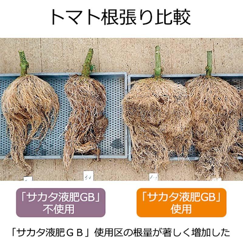 サカタ液肥GB 1kg 高機能液肥 液体肥料 サカタGB サカタのタネ サカタマモルシリーズ 水稲の暑さ対策に DZ |  | 02