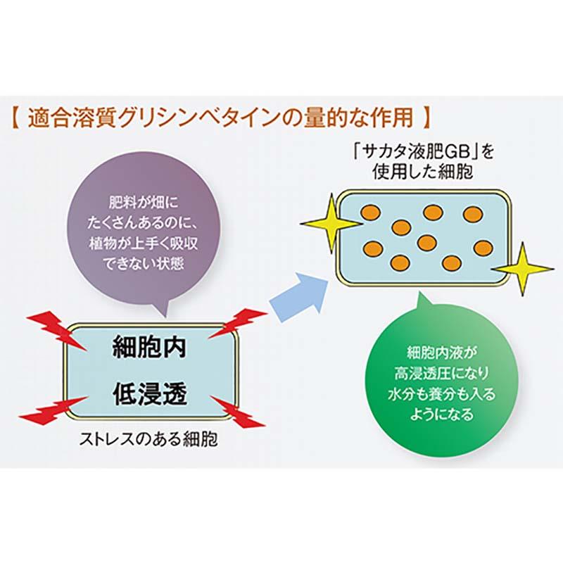 サカタ液肥GB 1kg 高機能液肥 液体肥料 サカタGB サカタのタネ サカタマモルシリーズ 水稲の暑さ対策に DZ |  | 04