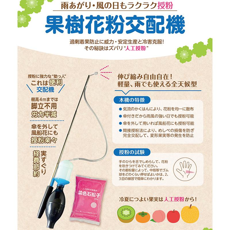 染色石松子 100g 東レコムズ 人工授粉用増量剤 せきしょうし 染色 ピンク 花粉の増量剤 果物の受粉作業に DZ |  | 02