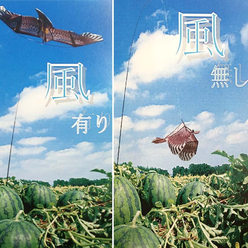 カイト鷹 防鳥具 タカ 凧 中G H |  | 01