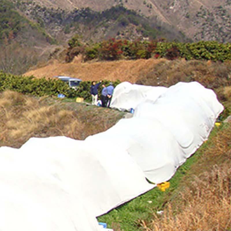 サニーセブン T-750 3m×100m 果樹保護シート 柑橘系 被覆資材 東レコムズ D | 