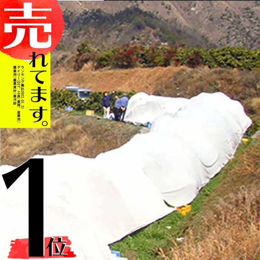 サニーセブン T-750 4m×50m 果樹保護シート 柑橘系 被覆資材 東