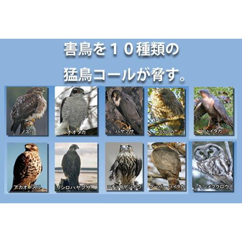 コンパル 防鳥 ソーラー・ドッキリバード(猛鳥コール) 鳥害対策 アサノヤ産業 PD | アサノヤ産業 | 01