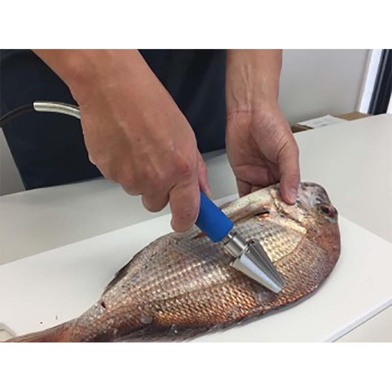 電動うろこ取り機 タスケール AST-150 鱗取り ウロコ取り 朝日産業 オK