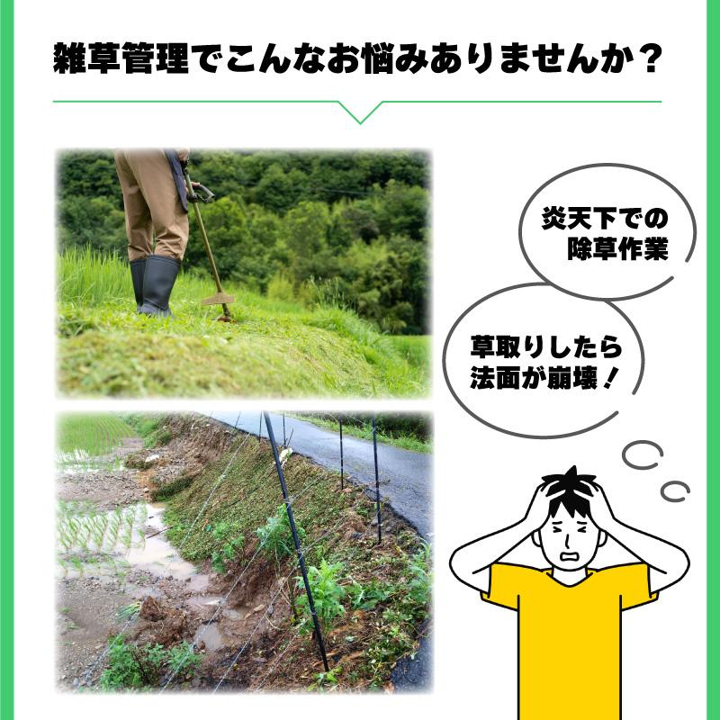 雑草抑制 おまかせネット グリーン 幅3.0m × 25m巻 耐用年数約8年 UV剤入り 防草 防虫 崩壊しにくい 簡単 施工 おまかせねっと 大一工業 北海道不可 代引不可 |  | 02