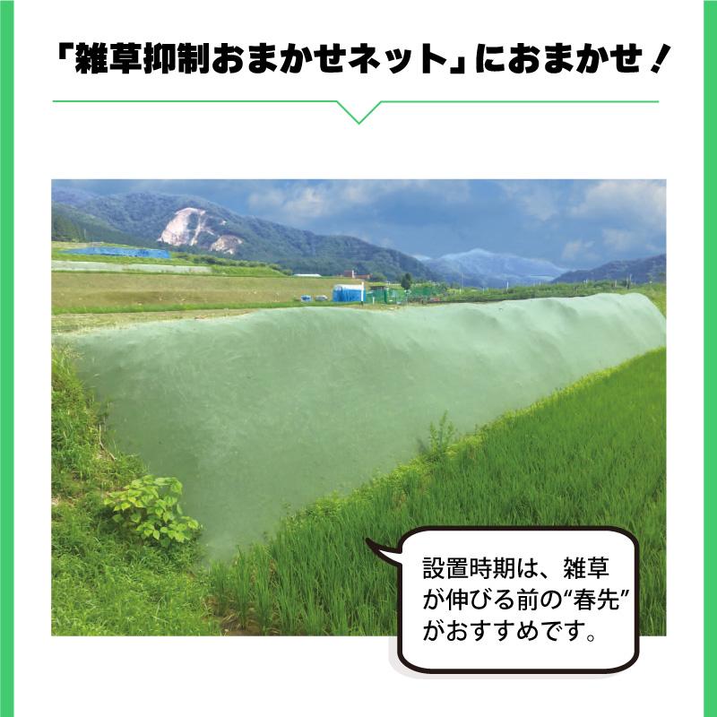 雑草抑制 おまかせネット グリーン 幅3.0m × 25m巻 耐用年数約8年 UV剤入り 防草 防虫 崩壊しにくい 簡単 施工 おまかせねっと 大一工業 北海道不可 代引不可 |  | 03