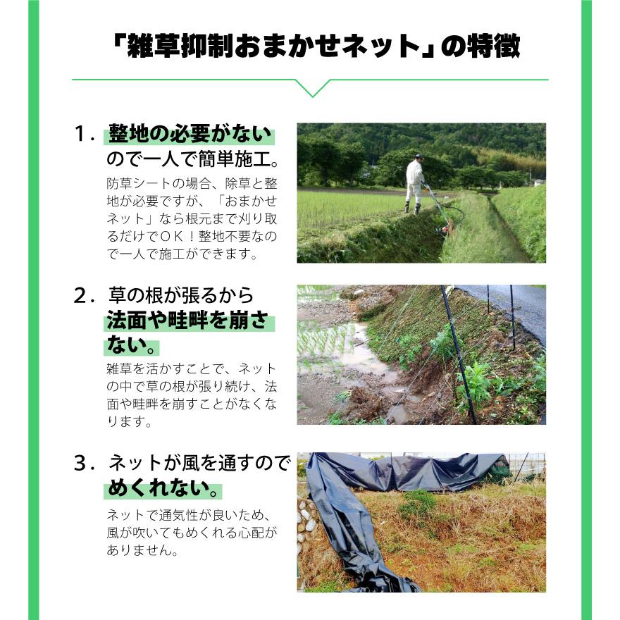 雑草抑制 おまかせネット グリーン 幅3.0m × 25m巻 耐用年数約8年 UV剤入り 防草 防虫 崩壊しにくい 簡単 施工 おまかせねっと 大一工業 北海道不可 代引不可 |  | 04