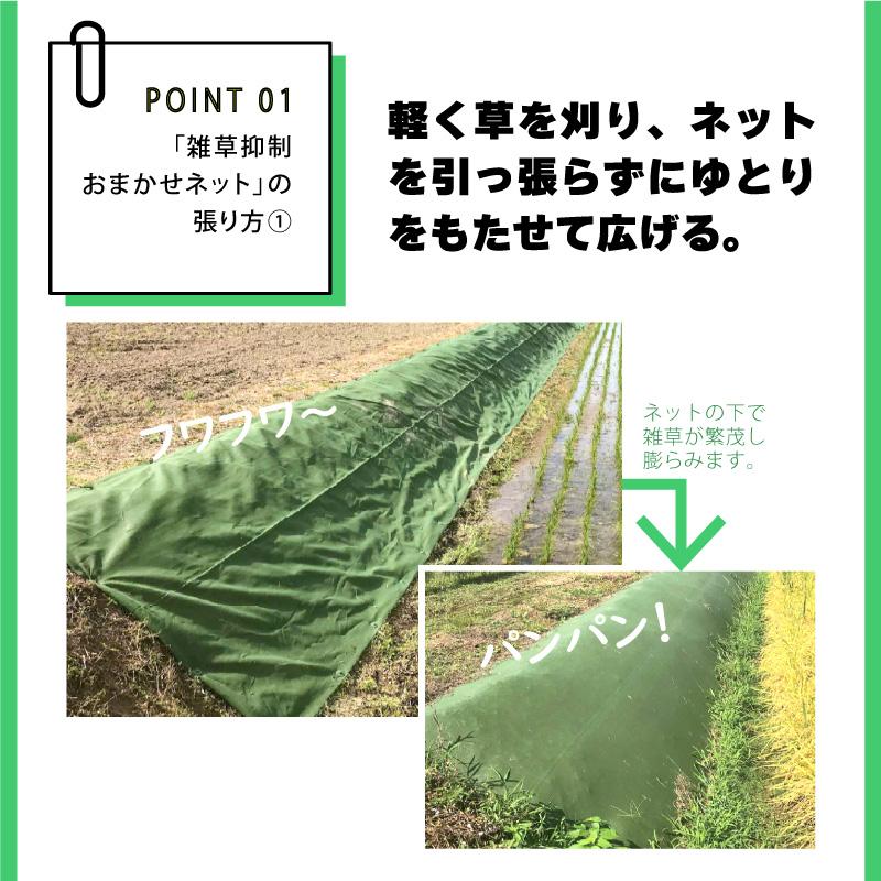 雑草抑制 おまかせネット グリーン 幅3.0m × 25m巻 耐用年数約8年 UV剤入り 防草 防虫 崩壊しにくい 簡単 施工 おまかせねっと 大一工業 北海道不可 代引不可 |  | 06
