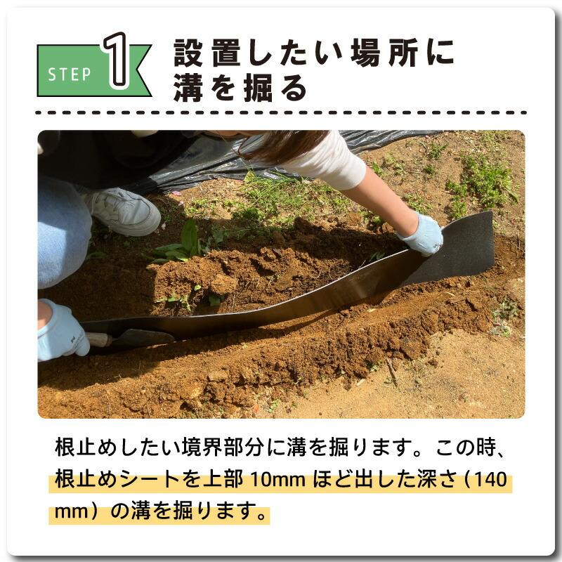 園芸用 根止めシート 高さ15cm 長さ10m 厚さ2mm エーワン新潟 根止め 芝 侵入 防止 花壇 ガーデニング 庭造り 家庭菜園 園芸 造園 DZ |  | 07