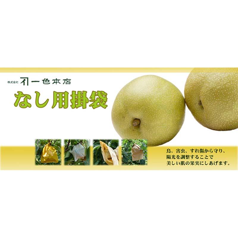 4000枚 果実袋 なし 梨用掛袋 KHF #5 一重袋 100-305-11 ナシ 梨 一色本店 D |  | 01