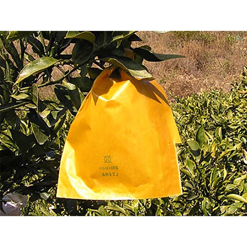 1500枚 果実袋 柑橘用掛袋 KSHW#5 二重袋 100-703-5 大玉中晩柑類 一色本店 D |  | 01