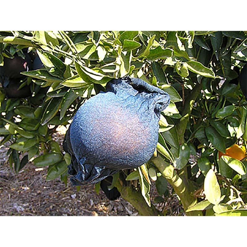 2500枚 果実袋 柑橘用掛袋 ネルネット 黒(中) ストッキングタイプ 594-200-06 デコポン等 一色本店 D |  | 02