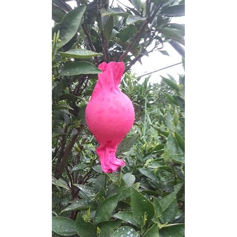 2500枚 果実袋 柑橘用掛袋 ネルネット ピンク(中) ストッキングタイプ 594-200-07 デコポン等 一色本店 D |  | 02