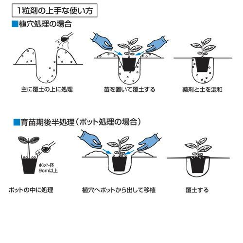 5袋 バイエル 殺虫剤 アドマイヤー 1粒剤 950g 水稲 野菜 果樹などの害虫防除 農薬 イN 代引不可 |  | 01