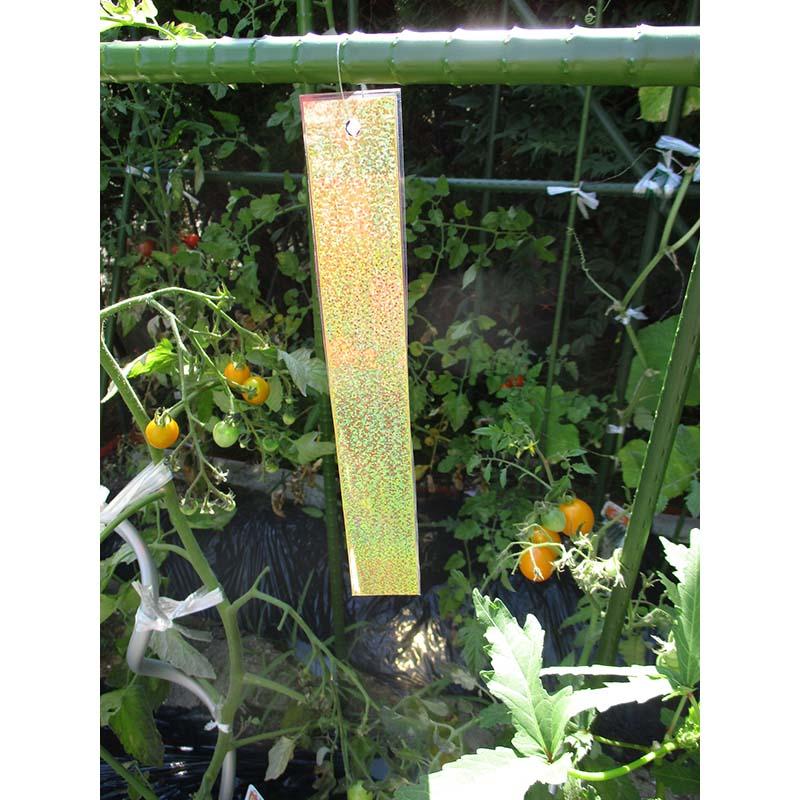 わたしの防鳥 5セット組 ホログラムの短冊 コンパル アサノヤ産業 D | アサノヤ産業 | 01