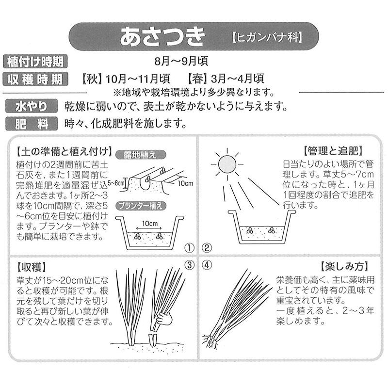 3kg 種あさつき アサツキ アサヅキ あさづき 栽培用 家庭菜園 プロ農家 吉S DZ |  | 01