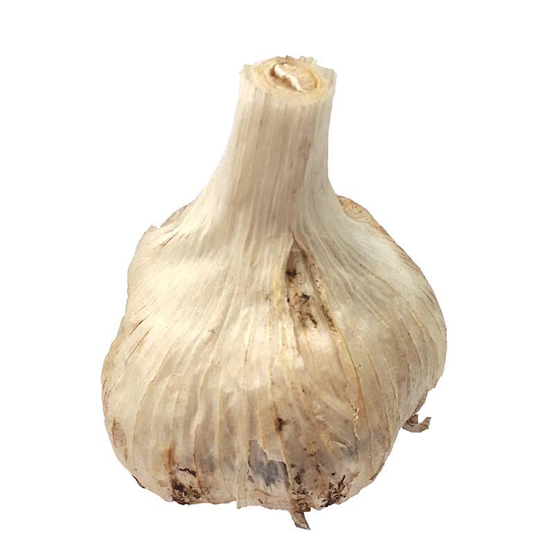 10kg 栽培用 ニンニク 青森県産 ホワイト六片 Mサイズ にんにく 球根 種用 米S 代引不可 |  | 01