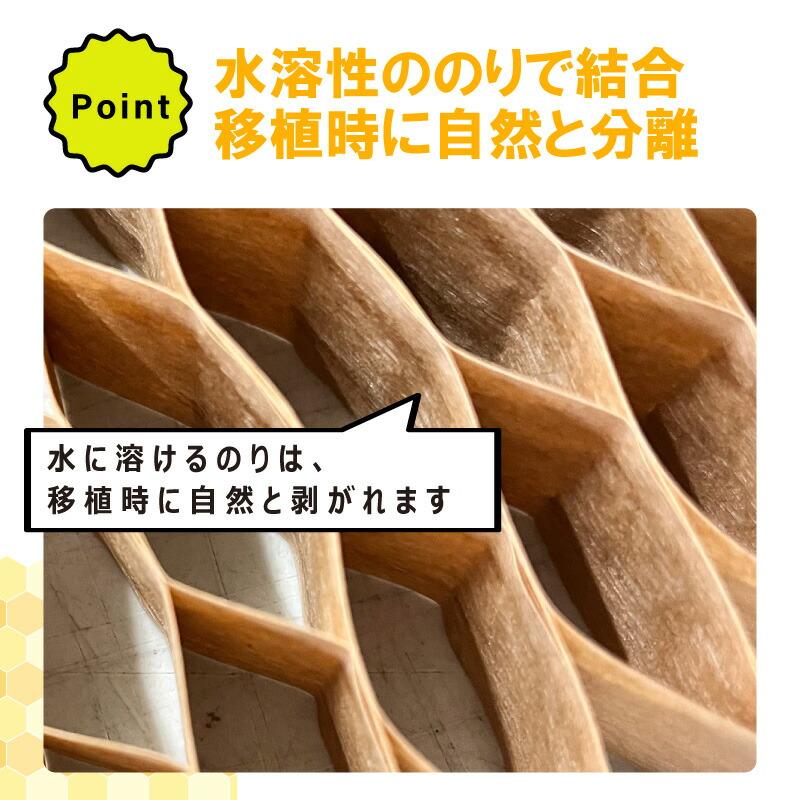 専用苗 即使用不可 育苗不可 KLP303-10 75冊 (個) 生分解性 LP チェーン