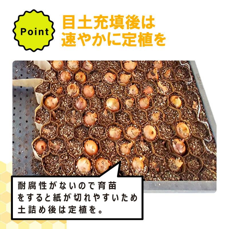 即使用不可 育苗不可 KLP303-10 75冊 (個) 生分解性 LP チェーン