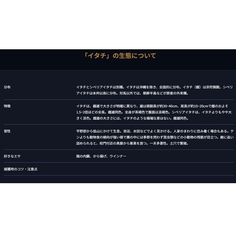 C type No.201 IT-1 2個入り イタチ ウサギ 捕獲器 退治 撃退 害獣駆除 日本製 栄工業 T野D |  | 05