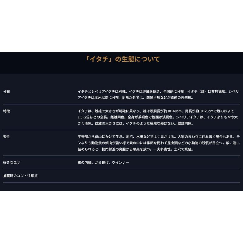 D type No.304 TN-4 イタチ タヌキ たぬき 狸 保護用 捕獲器 退治 撃退 害獣駆除 日本製 栄工業 T野D |  | 05