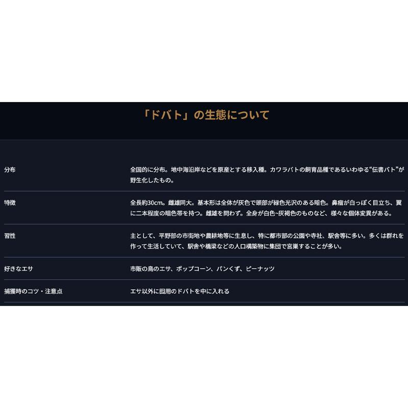 RF1 E-01 ドバト 鳩 ハト はと 捕獲器 退治 撃退 害獣駆除 日本製 栄工業 T野D |  | 05