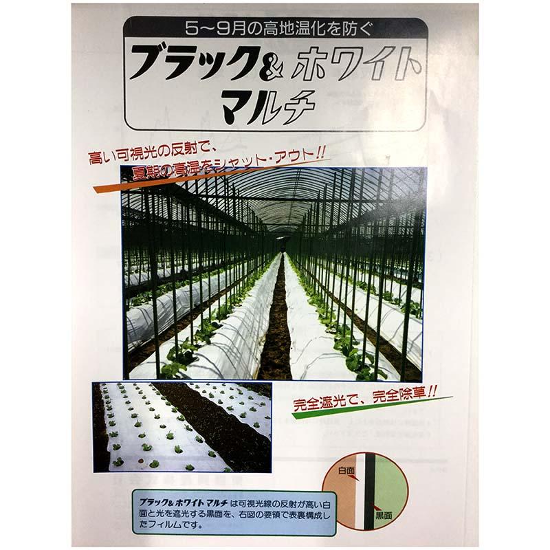 2本 ブラック＆ホワイトマルチ 0.025×180×200 マルチング 温度上昇抑制 雑草抑制 水分保持 トーカン 東罐興産 カ施 個人宅配送不可 代引不可 |  | 01