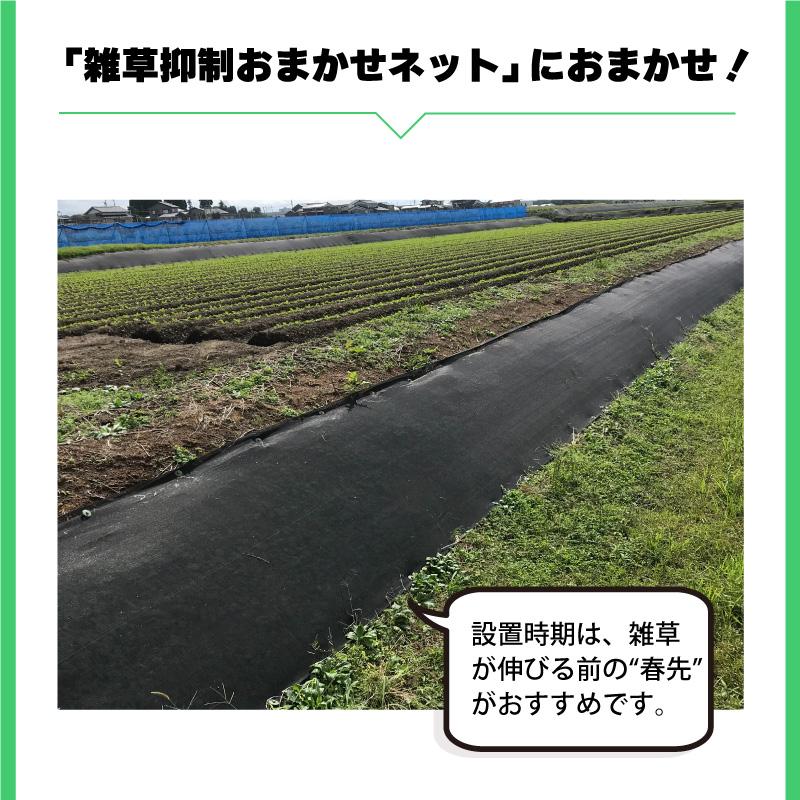 雑草抑制 おまかせネット ブラック 幅1m × 50m巻 耐用年数約8年 UV剤入り 防草 防虫 崩壊しにくい 簡単 施工 おまかせねっと 大一工業 北海道不可 代引不可 |  | 03