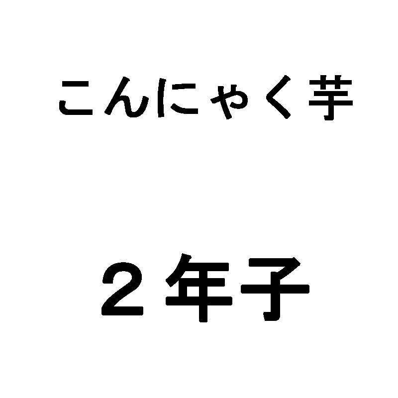 500g コンニャク玉 2年子 こんにゃく芋 蒟蒻 種芋 代引不可 日にち指定不可 クリアランスsale 期間限定 栽培用 米s