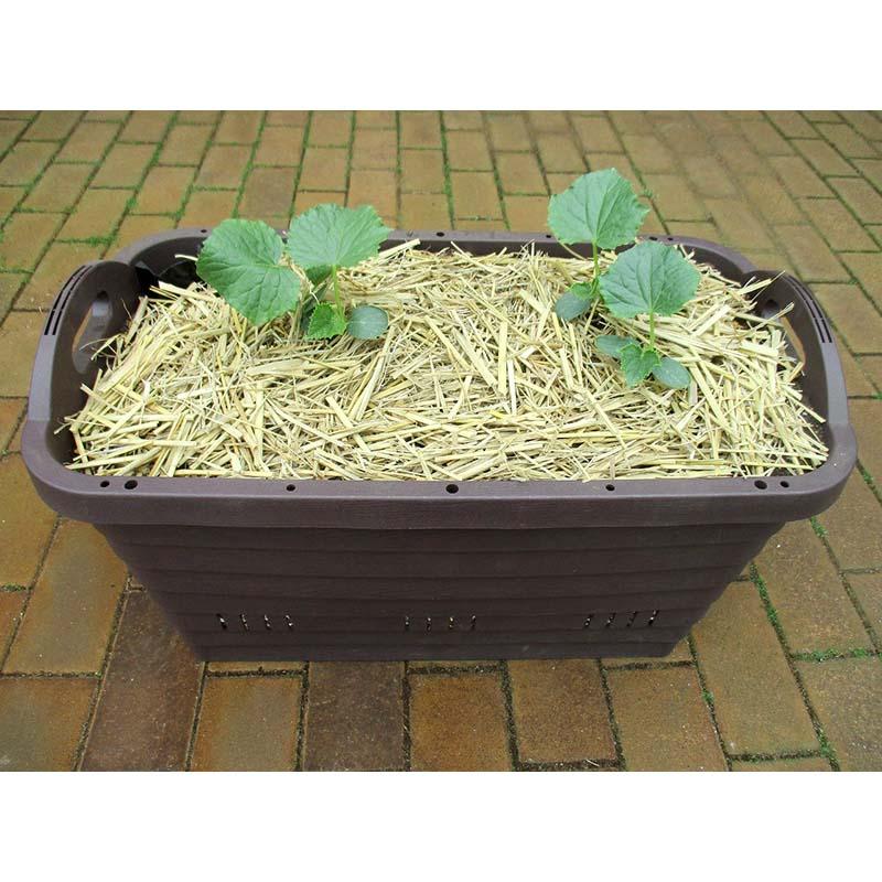 32袋 リユース 園芸用わら (10L) 藁 ワラ コンパル アサノヤ産業 D | アサノヤ産業 | 01