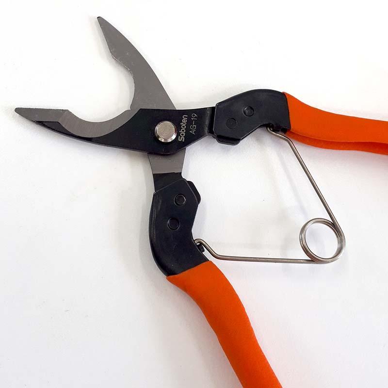 はく皮鋏 AG-19 サボテン カSD |  | 01