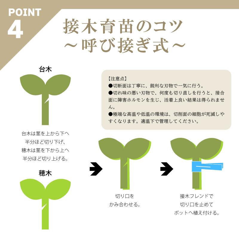 200個 接木フレンド ブルー 青色 接木用 クリップ 接ぎ木フレンド ナス科用 ウリ科用 兼用 ブドウ ジベレリン処理 摘粒 摘房 目印 日本ピアレス工業 カ施 DZ |  | 07