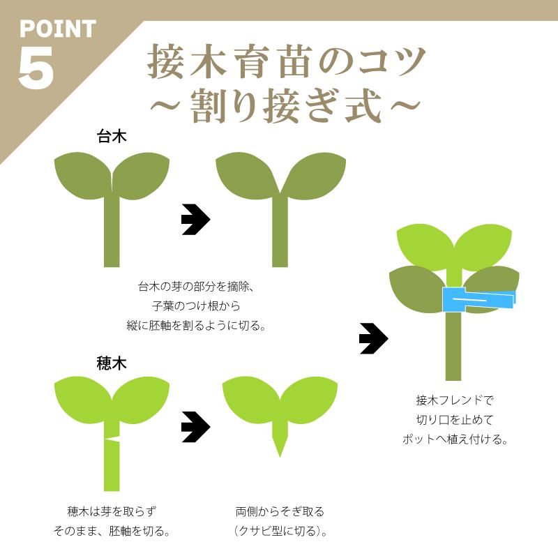 200個 接木フレンド ブルー 青色 接木用 クリップ 接ぎ木フレンド ナス科用 ウリ科用 兼用 ブドウ ジベレリン処理 摘粒 摘房 目印 日本ピアレス工業 カ施 DZ |  | 08