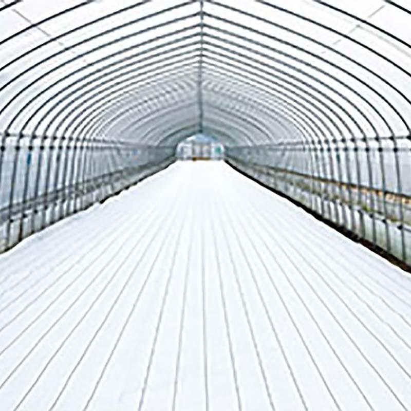 ダイオ グランドシート α アルファ ホワイト 白 75cm×100m 防草シート 反射シート イノベックス サT 北海道不可 個人宅配送不可 代引不可 | 