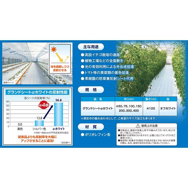 ダイオ グランドシート α アルファ ホワイト 白 200cm×100m 防草シート 反射シート イノベックス サT 北海道不可 個人宅配送不可 代引不可 |  | 02