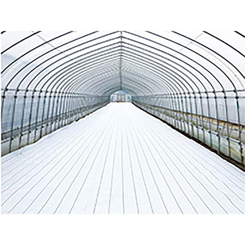 ダイオ グランドシート α アルファ ホワイト 白 400cm×100m 防草シート 反射シート イノベックス サT 北海道不可 個人宅配送不可 代引不可 | 