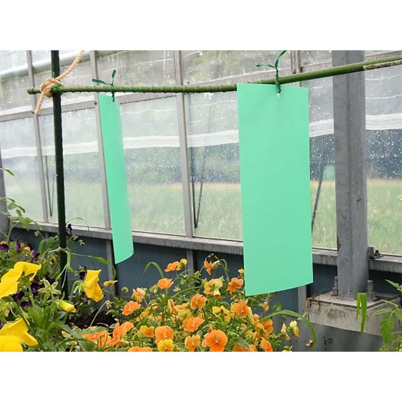 12袋 虫ペタッと粘着シート 黄色 10枚入 10cm×22cm ビニタイ10本 プラスチック製粘着シート 害虫 捕虫 小泉製麻 個人宅配送不可 代引不可 |  | 01