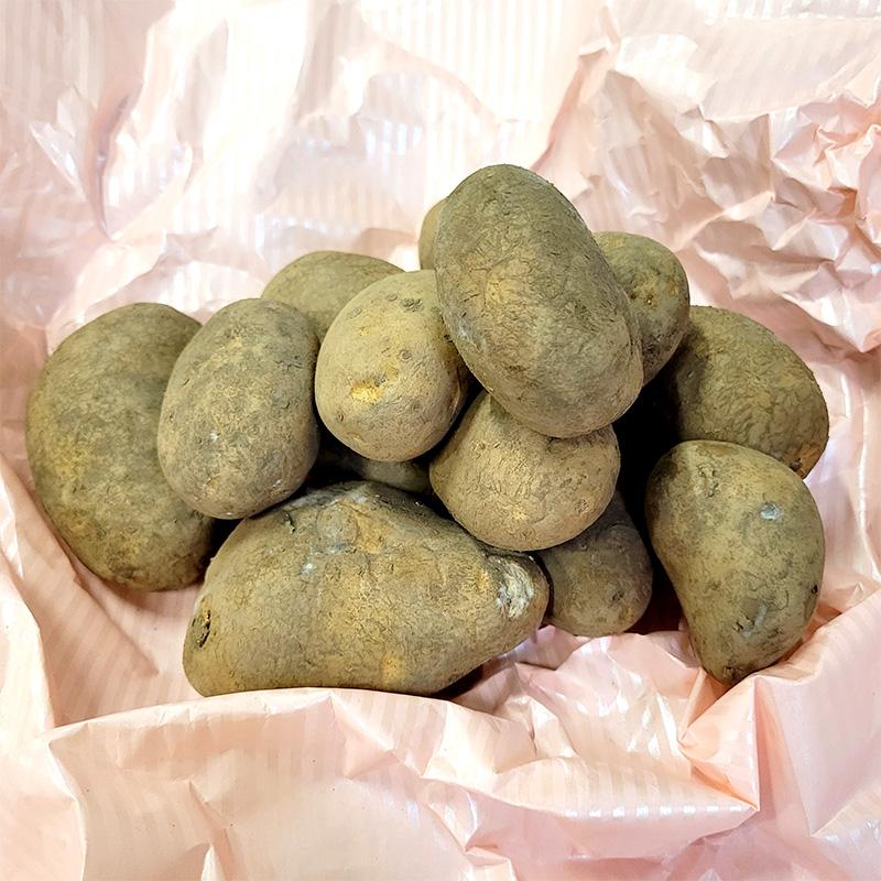 5kg 種芋 北海こがね 混玉 ジャガイモ じゃがいも栽培用 吉S DZ  (登録品種名:ホッカイコガネ) | 