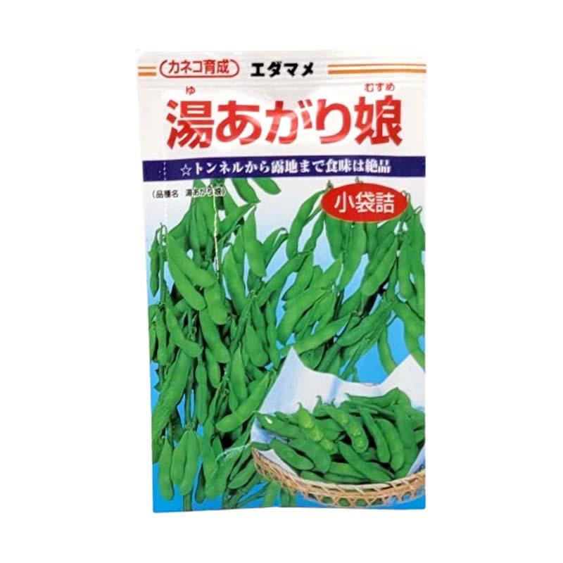 1000粒 (50粒×20袋) エダマメ 湯あがり娘 カネコ種苗 枝豆 中早生 白毛 栽培用 ゆあがりむすめ 米S 代引不可 (登録品種名:湯あがり娘) | 