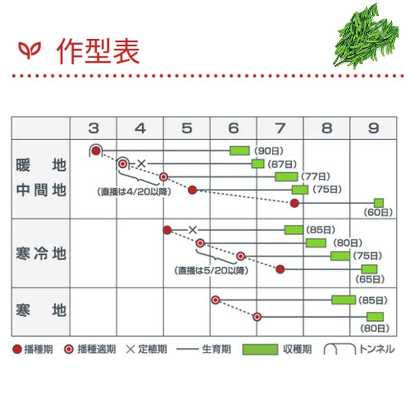 1000粒 (50粒×20袋) エダマメ 湯あがり娘 カネコ種苗 枝豆 中早生 白毛 栽培用 ゆあがりむすめ 米S 代引不可 (登録品種名:湯あがり娘) |  | 01