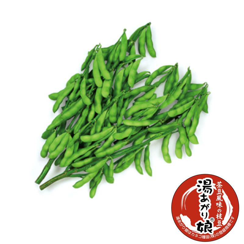 1000粒 (50粒×20袋) エダマメ 湯あがり娘 カネコ種苗 枝豆 中早生 白毛 栽培用 ゆあがりむすめ 米S 代引不可 (登録品種名:湯あがり娘) |  | 02